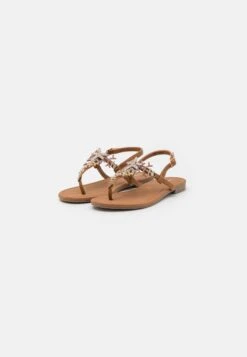 Sandalen - Brown 8 Sandalen - Brown -Anna Field Winkel 4bef837ba81a4ff9a43578d829b369a3